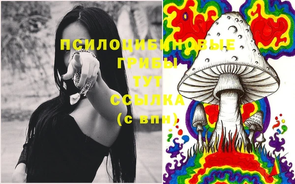 марки nbome Алексеевка
