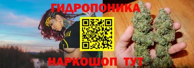 молекула духа Кандалакша