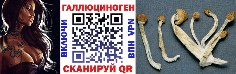 Галлюциногенные грибы ЛСД  mega зеркало  маркетплейс клад  Люберцы 
