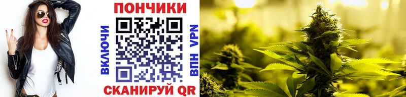 Бошки Шишки семена  Люберцы 